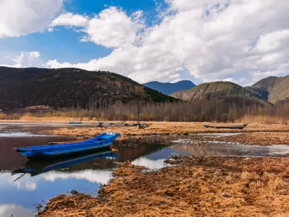 BigWins Casino Mobile App